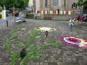 Blumenteppich auf dem Naumburger Marktplatz